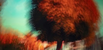 jr-korpa-e1Bj-CGECpU-unsplash